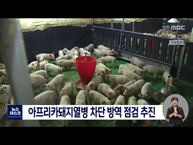 아프리카돼지열병 방역 점검 추진