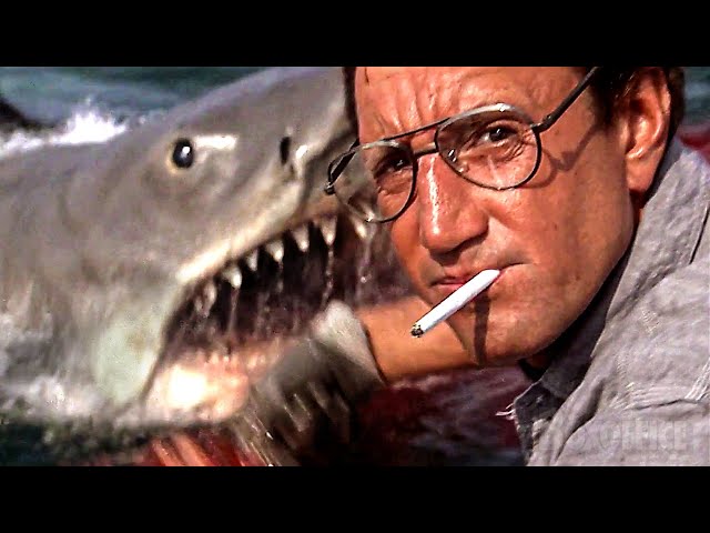 Vídeo relacionado con Ozabi Pack de calcetines para hombre JAWS: Tiburón (43/46, Lote de 4 pares 1987)