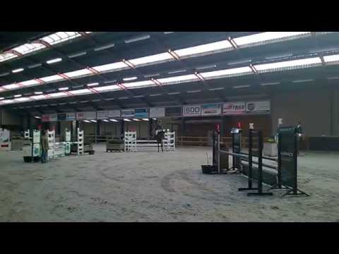 Dimaggio de Bellerose