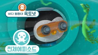 바다 탐험대 옥토넛 - 나뭇잎해룡 (시즌2 에피소드17 - 전체에피소드)
