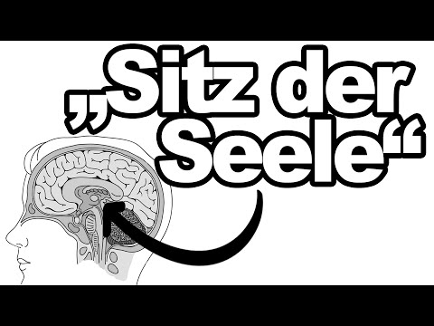 Die Zirbeldrüse entschlüsselt: Warum dieses kleine Organ so wichtig ist!