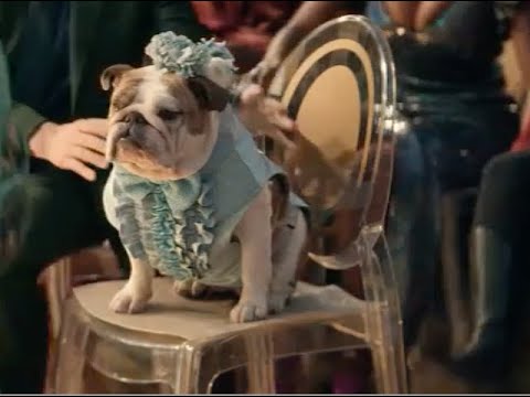 Q's First Contact: Strange New Worlds Edition