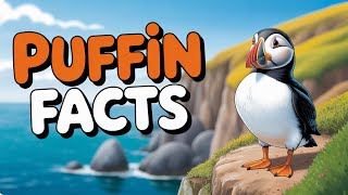 Why Do Puffins Have Colorful Beaks? | Puffin Facts for Kids gameplay video by astandley13, 2:05 duration