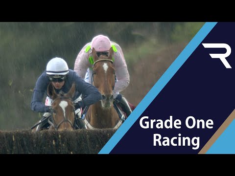 COLREEVY defeats Monkfish and Envoi Allen in the 2021 Dooley Insurance Group Champion Novice Chase