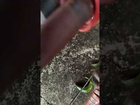 27 de março de 2023