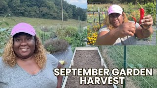 September Garden Harvest + New Raised Bed Update