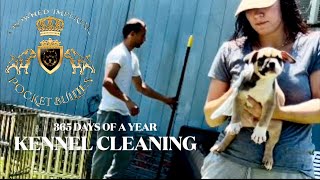A Day In The Life Of A Dog Breeder | Not Just Cute Puppies Another Day Kennel Cleaning Breeders Work