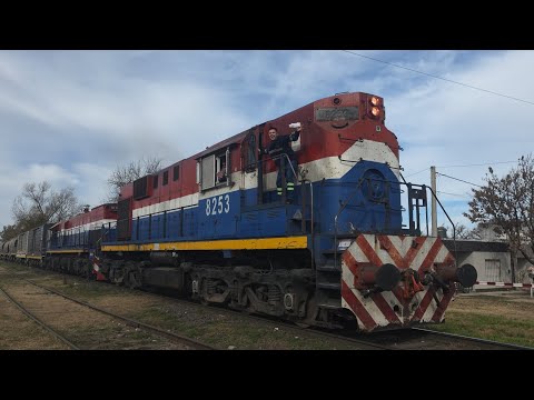 [4K] Tren de tolvas graneras con destino a General Deheza pasando por Marcos Juárez!!!!!!