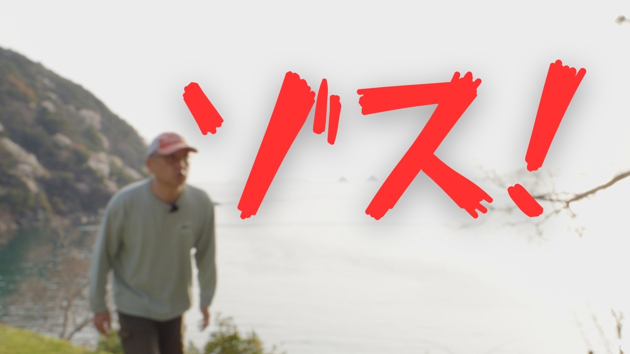 ゾス系の会社どう思いますか？