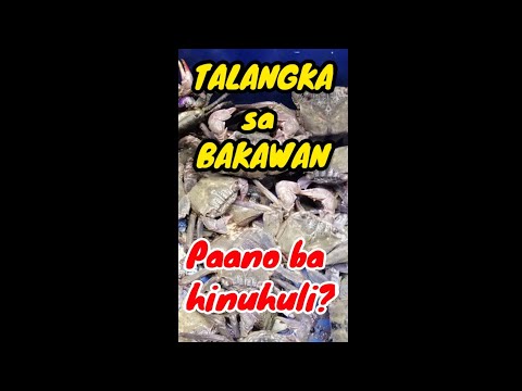 Vlog14| TALANGKA sa BAKAWAN(shore crab) , Paano ba hinuhuli?