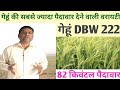 Highest Yielding Wheat Variety DBW 222 Top Wheat Variety Of All Time