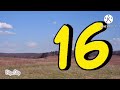 Sesame Street Growing Numbers 100 Full Version