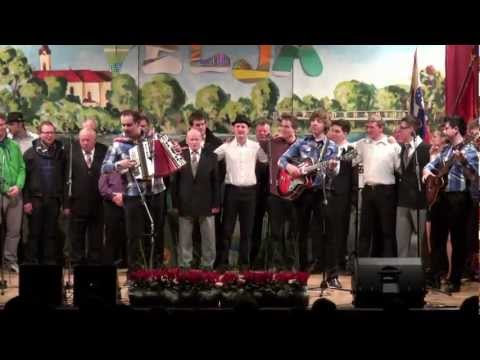 Ansambel Nebo & ostali nastopajoči-V dolini tihi (v živo)