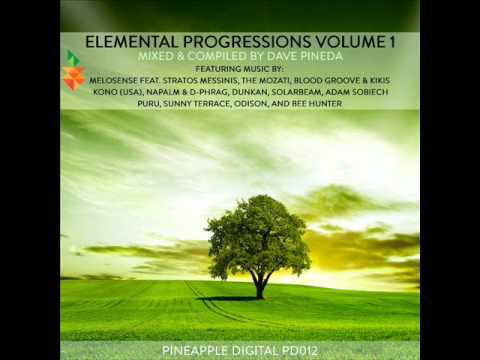 The Mozati - Young Mind (Original Mix) [Pineapple Digital]