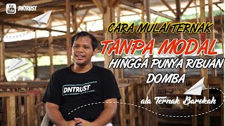Download lagu Cara  Sukses Memulai Ternak Kambing Domba Tanpa Modal Hingga Punya Ribuan Domba ala Ternak Barokah. mp3