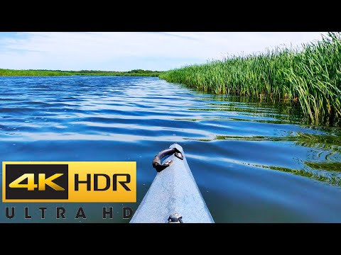 Open Channel Kayaking ~ Northern Ontario Wilderness ~ 4K Nature