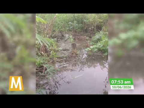 Creciente de Caño Grande deja bajo el agua cultivos en El Retorno