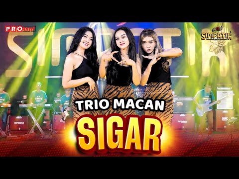 SIGAR - TRIO MACAN | SIMPATIK MUSIC  (OFFICIAL MUSIC VIDEO)