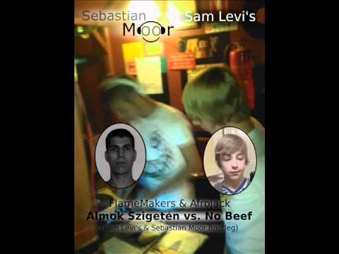 FlameMakers & Afrojack-Álmok vs. No Beef (Sam Levi's & Sebastian Moor Bootleg)