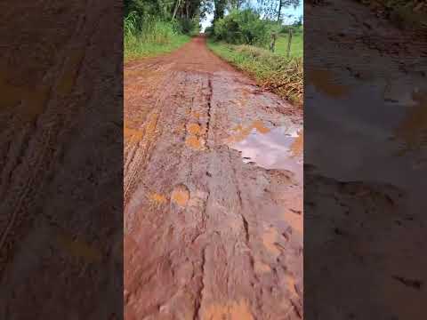 de Gral Alvear a Oberá-Misiones  #bike #misiones #misionesargentina #naturaleza
