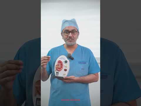 Types of Kidney Stones Explained by Dr. Md. Taif Bendigeri | Why Understanding Matters