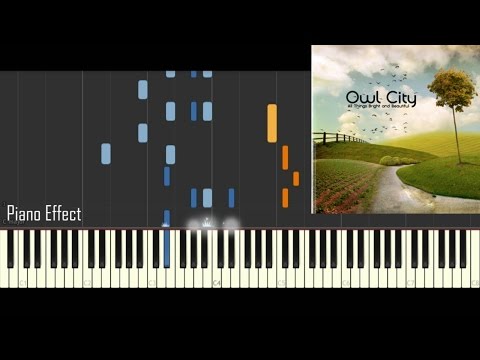 Hospital Flowers - Owl City