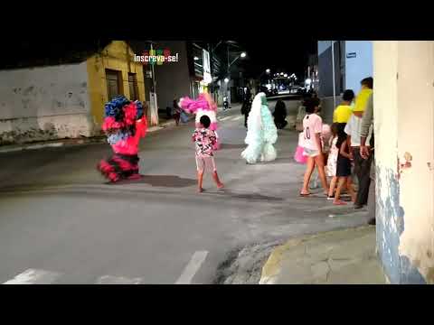 Ala-ursa 2022.11 | No Rastro das Ala-ursas | BMRF*