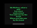Toni Basil Hey Mickey Lyrics