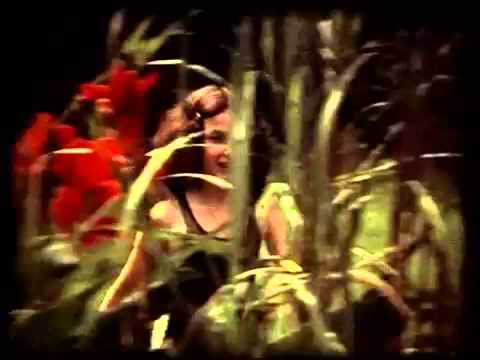 Chip Hawkes - She's Not My Child