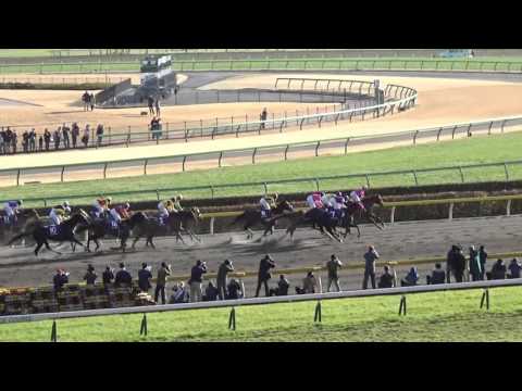 2016 フェブラリースタークス モーニンG1 February Stakes Moanin