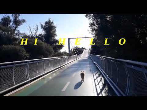 Cyklomost  Slobody  je most vedúci  ponad  rieku  Morava ! Devinska  Nova  Ves  -  Schloss Hof