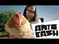 ANTE CASH - ANTE (OFFICIAL VIDEO 2017)
