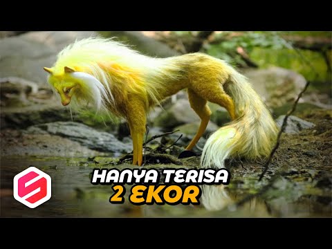 TERSISA 2 EKOR DI BUMI, Ini 10 Penampakan Hewan Paling Langka Di Dunia
