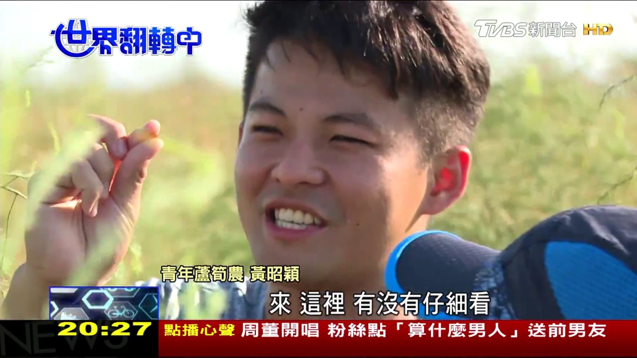 小鎮開創觀光商機 下田旅遊結合美食