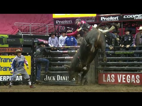 Top 5 Bulls & Their Top 5 Scores of 2019... So Far | Bruiser and His Buddies Aren't Here to Play