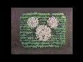 Disney Channel Garden Station ID 1995