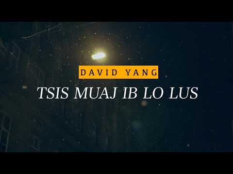 David Yang - Tsis Muaj Ib Lo Lus [FX Version]