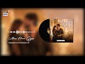 MAIN HAAR GIYAN AUDIO NASEEBO LAL HASSAN ALI KABHI MAIN KABHI TUM ARY DIGITAL