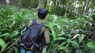 烏帽子からP1928mに向かう途中の藪こぎ～その２