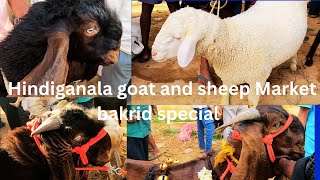E P 5 Hindiganala goat and sheep Market bakrid special 2025