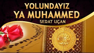 İlahi - "Canımızla Kanımızla Gönülde İmanımızla Seninleyiz YA MUHAMMED" Sedat Uçan - Yolundayız