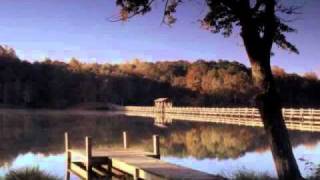 Born Country - Alabama