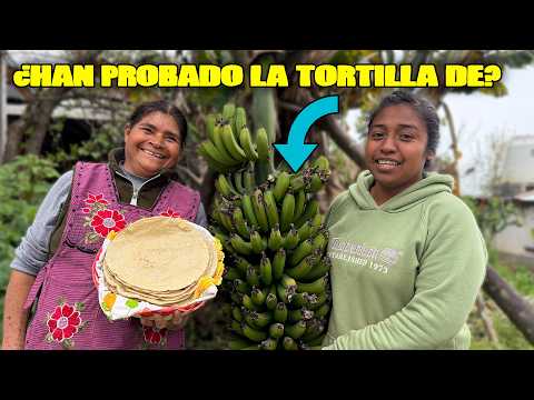 Las Curiosidades de Marcelina and 2 more