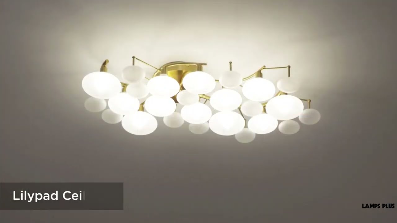 Video 1 Watch A Video About the Possini Euro Lilypad Warm Brass Frosted Glass Ceiling Light
