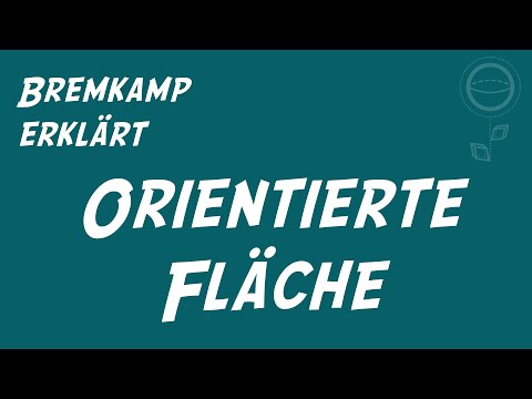 Integrale verstehen: Der orientierte Flächeninhalt