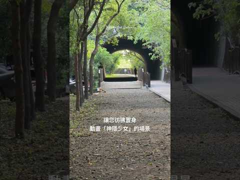彷彿千尋進入「神隱少女」的神秘國度_崎頂隧道文化園區（子母隧道）