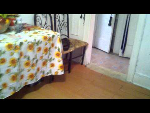 Logan (son) & Gomer (father)