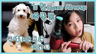 Re: [問題] 戴森吹風機值得入手嗎