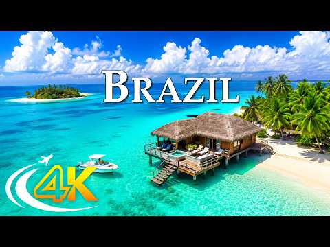 Summer in Brazil 4K UHD  –  Calming Relaxation Music & Unique Beaches, Baobab Avenues