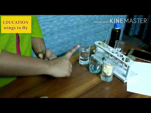 Science experiment||test for starch, protein and fat